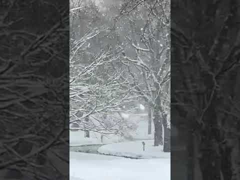 北海道大学，大雪。。