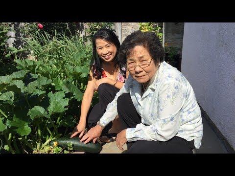 Asian Vegetable Herb Garden Tour-Cooking What You Grow-Vietnamese Food Recipes