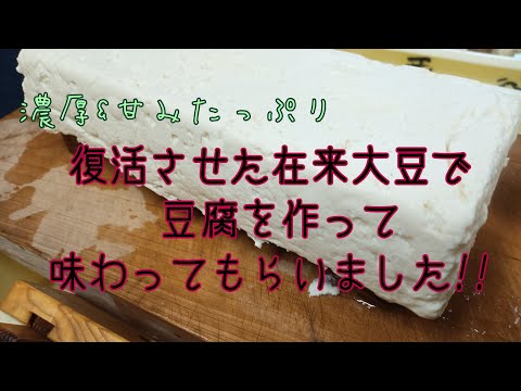 復活させた在来大豆で豆腐作り:昔の味を再現できるか？