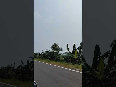 Drive #drive #ride #nature #highway #village #trending #shorts