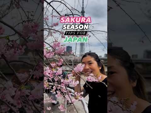 HOW TO PREPARE for Cherry Blossom Season in Japan! 🌸🇯🇵