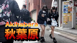 【４Ｋ60】walk in Akihabara【秋葉原をお散歩】2024年11月9日