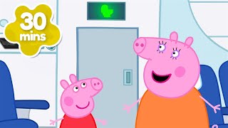 Tiny Toilet On The Plane ✈️ | Peppa Pig Tales Full Episodes