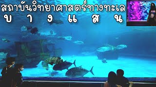 พิพิธภัณฑ์สัตว์น้ำบางแสน | สถาบันวิทยาศาสตร์ทางทะเล