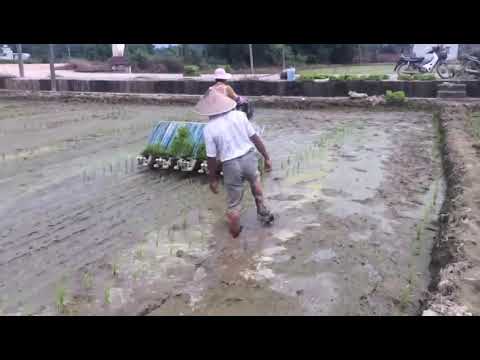 TE-8L10-1000 Riding type high speed rice transplanter