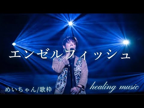 エンゼルフィッシュ/めいちゃん【切り抜き歌枠】