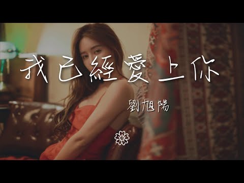 劉旭陽 - 我已經愛上你『那晚陪着你的夜 因爲我已愛上你』【動態歌詞Lyrics】