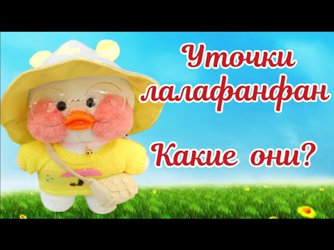 Уточка лалафанфан. Lalafanfan duck. Уточка из тик тока.