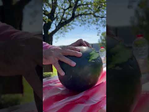 Yummy Sweet Watermelon #shortsviral #shortsfeed #shortsvideo #shortsyoutube #shortvideo #