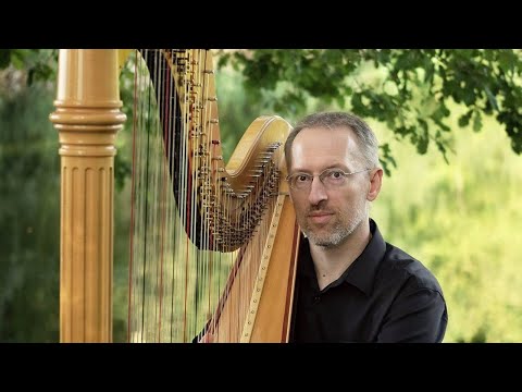 Harp Live Stream #11