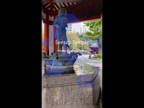 【Vlog】2022年11月24日に浅草寺にお参りに行ってきました