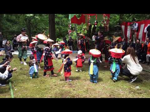 2017年佐渡赤玉杉池祭りの様子です。神社前の舞台で「大鬼舞」」、「小鹿舞」を奉納され、花で飾られたかさをかぶった子どもら１７人が扇子を手に踊る「花笠踊り」など、４００年の歴史を持つ素敵なまつりです。