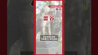 60秒帶你逛東京必去景點！日本47都道府連載中💨 第一站東京Tokyo｜#日本自由行 #shorts