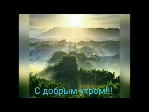 С добрым утром🌺🌺🌺солнечного настроения☀️☀️☀️