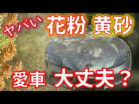 【危険‼ 黄砂＆花粉】車にダメージをあたえる黄砂と花粉の車の洗い方や防御方法は？