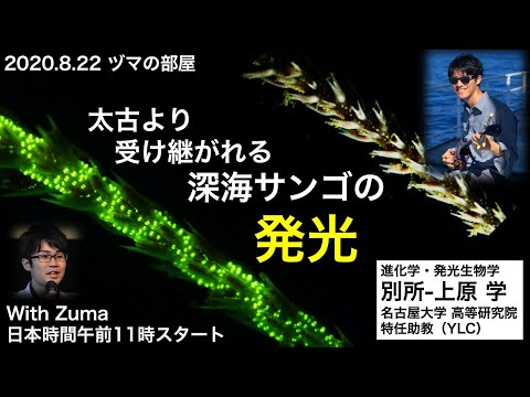 【名古屋大学 別所−上原 学】太古より受け継がれる深海サンゴの発光「ヅマの部屋」#1