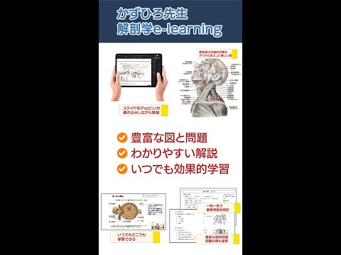 医療系学生４つのお悩み（縦）