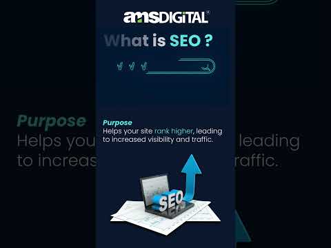 How SEO Drives Business Growth | Boost Your Brand Visibility with AMS Digital Marketing Agency