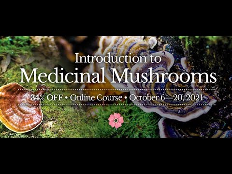 Intro to Medicinal Mushrooms - Online Course