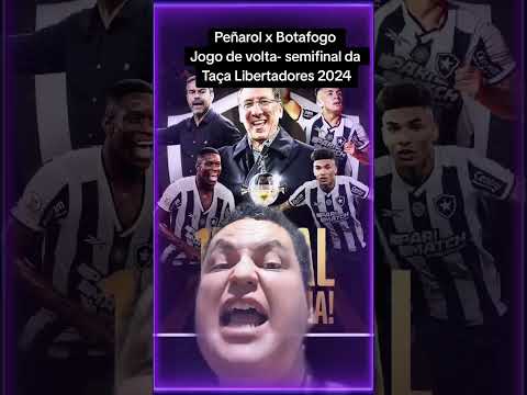 A classificação do Botafogo na final da Libertadores 2024 #libertadores2024 #botafogo