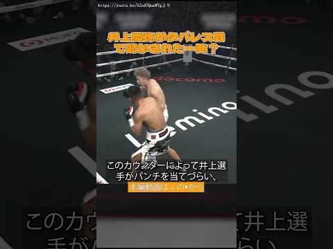 【タパレス戦解説】井上尚弥が言っていた「一発効いた」の考察