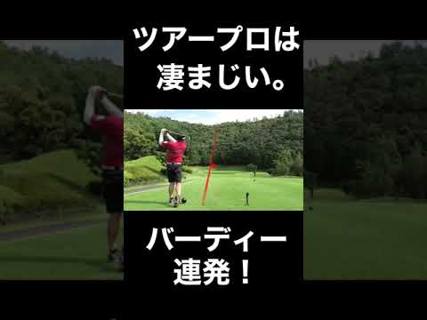 【バーディー連発】ツアー1勝シード7年のプロが上手すぎる件#shorts