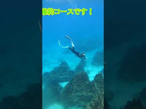 【石垣島】スキンダイビング！こんな海ならば楽しめないはずありません！11月29日シュノーケリングツアー動画