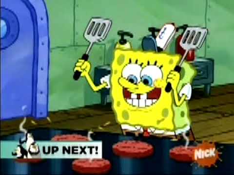 Nickelodeon Commercial Break (August 1, 2009)