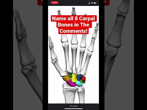 Name All 8 Carpal Bones in The Wrist - Human Anatomy Quiz