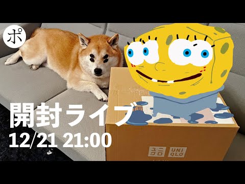 【ユニクロ】UT×スポンジボブ×CPFMを開封しますが犬が暴れないか心配ライブ