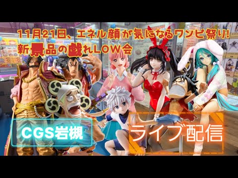 心綱必須！？新景品ワンピ多めのクレゲライブ配信