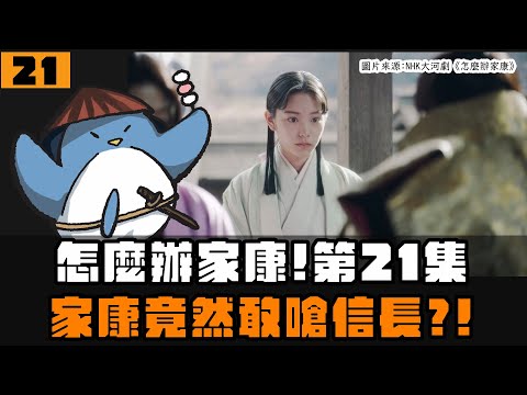 【怎麼辦家康】第21集・歷史解說 | 家康竟然威脅信長？龜姬的婚姻由誰決定？