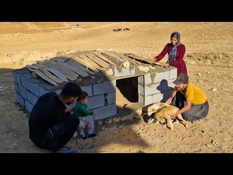 The story of love and humanity: Ibrahim and Soghara next to small puppies