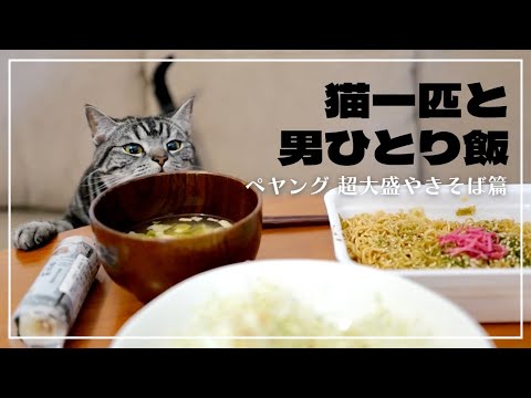 【猫一匹と男ひとり飯】妻不在につき、愛猫に見守られながら超大盛カップ焼きそばを豪快にすする