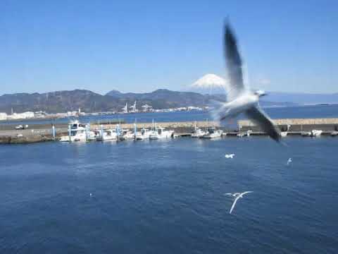 【清水港内遊覧船で富士山を堪能する】