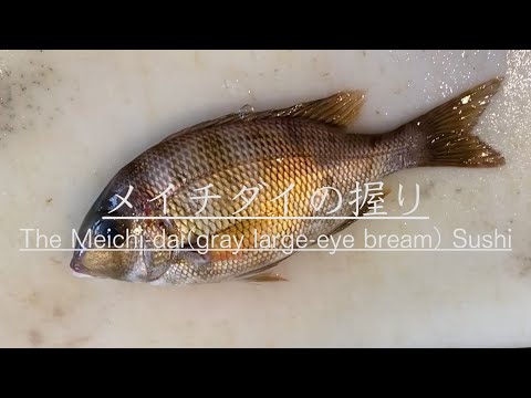 【夏の高級魚】メイチダイを仕入れて仕込みから握り寿司になるまでを紹介　How to make Meichi-dai(sea bream) Sushi