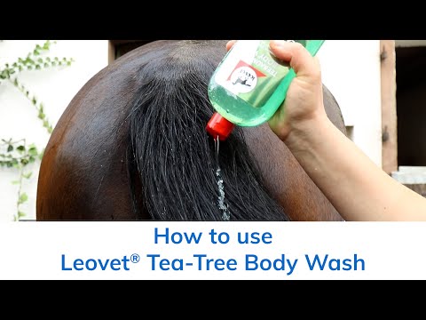 Where to use Leovet® Tea Tree Body Wash