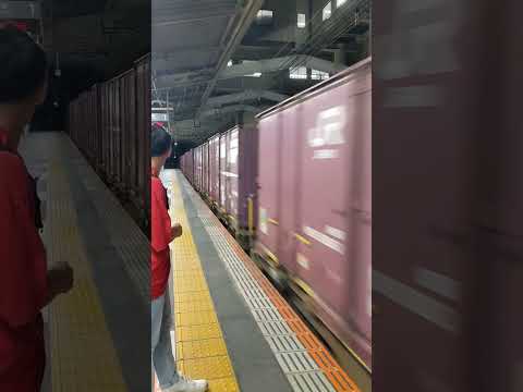 【EH500-59】半地下式の駅を通過するEH500形牽引の貨物列車【高速貨物4088レ】