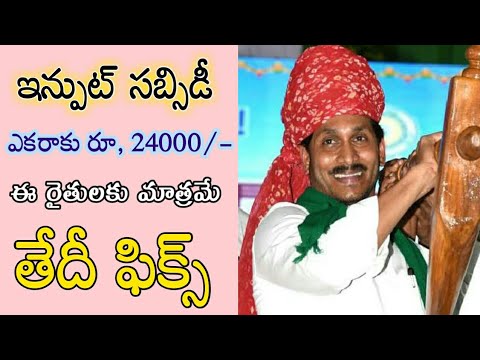 ఇన్పుట్ సబ్సిడీ డబ్బులు విడుదల 2024-ap input subsidy 2024 - AP input subsidy payment status 2024