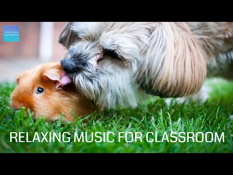 Relaxing Music For Classroom Work - Pets (still picture) - Quiet relaxing music for kindergarten