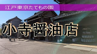 江戸東京たてもの園 Ⅲ・小寺醬油店