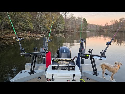 GIANT FISH Swim In This TINY RIVER!!! (Winter Fishing)