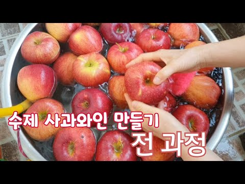 수제 사과와인만들기/푸석해진 사과로 깔끔하고 고급스런 수제 사과와인을 만들 수 있다/사과와 효모와 설탕량 사과와인을 만드는 전과정/