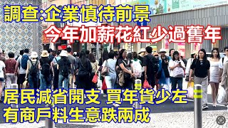 調查:企業慎待前景 今年加薪花紅少過舊年 ! 居民減省開支 買年貨少左 有商戶料生意跌兩成 !