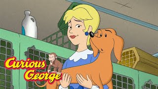 Hundley The Stray Dog!  🐵 Curious George 🐵 Kids Cartoon 🐵 Kids Movies