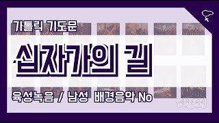 [가톨릭 기도문] 십자가의 길 1-14처 (배경음악 없음)