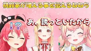 凸待ちでみこちに桃鈴家にもう一人加わる事を伝えるねねち【ホロライブ/ホロライブ切り抜き/さくらみこ/桃鈴ねね/音乃瀬奏/ダブチーズ】