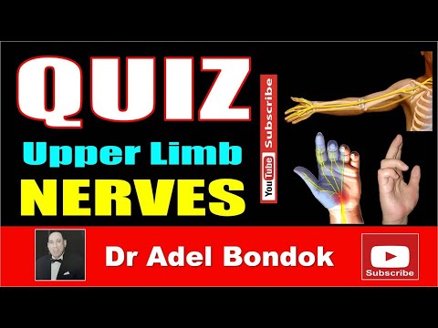 Quiz on the Upper Limb Nerves, Dr Adel Bondok