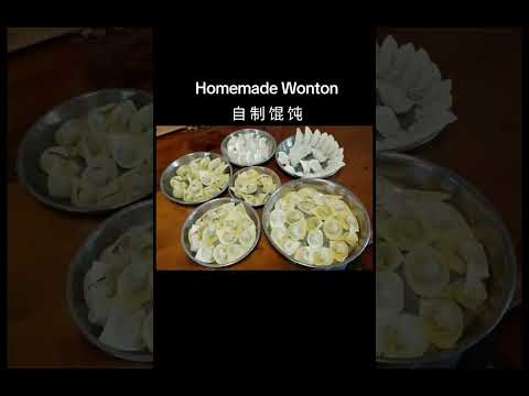 Homemade Wonton 自制馄饨 #wonton #dumplings #chinesefood #foodsharing #馄饨 #美食分享 #青菜樂園