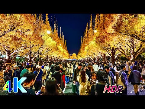 Autumn Leaves in Tokyo 2024 | Incredible Crowd at Meiji Jingu Gaien Avenue • Japan 4K HDR